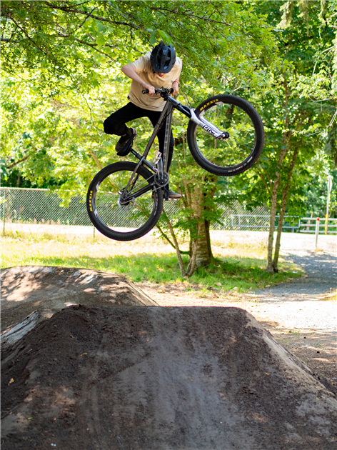 Mountain air bike skills park online