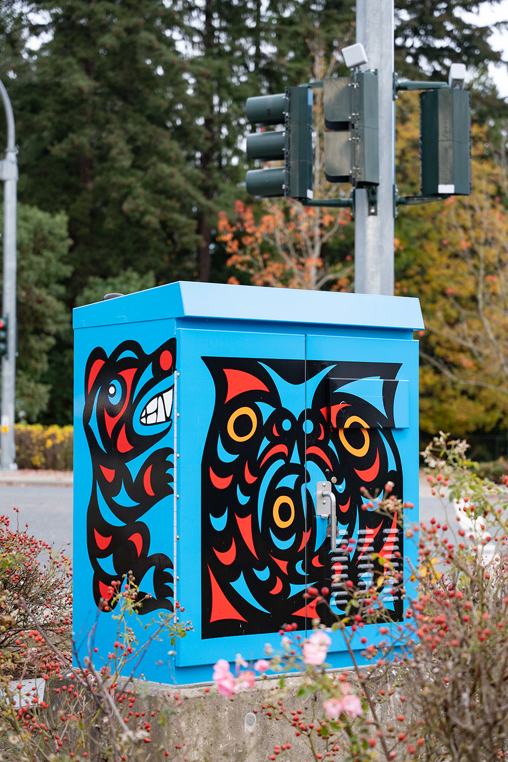 A blue-wrapped traffic control cabinet sits at the roadside, depicting colourful Coast Salish art