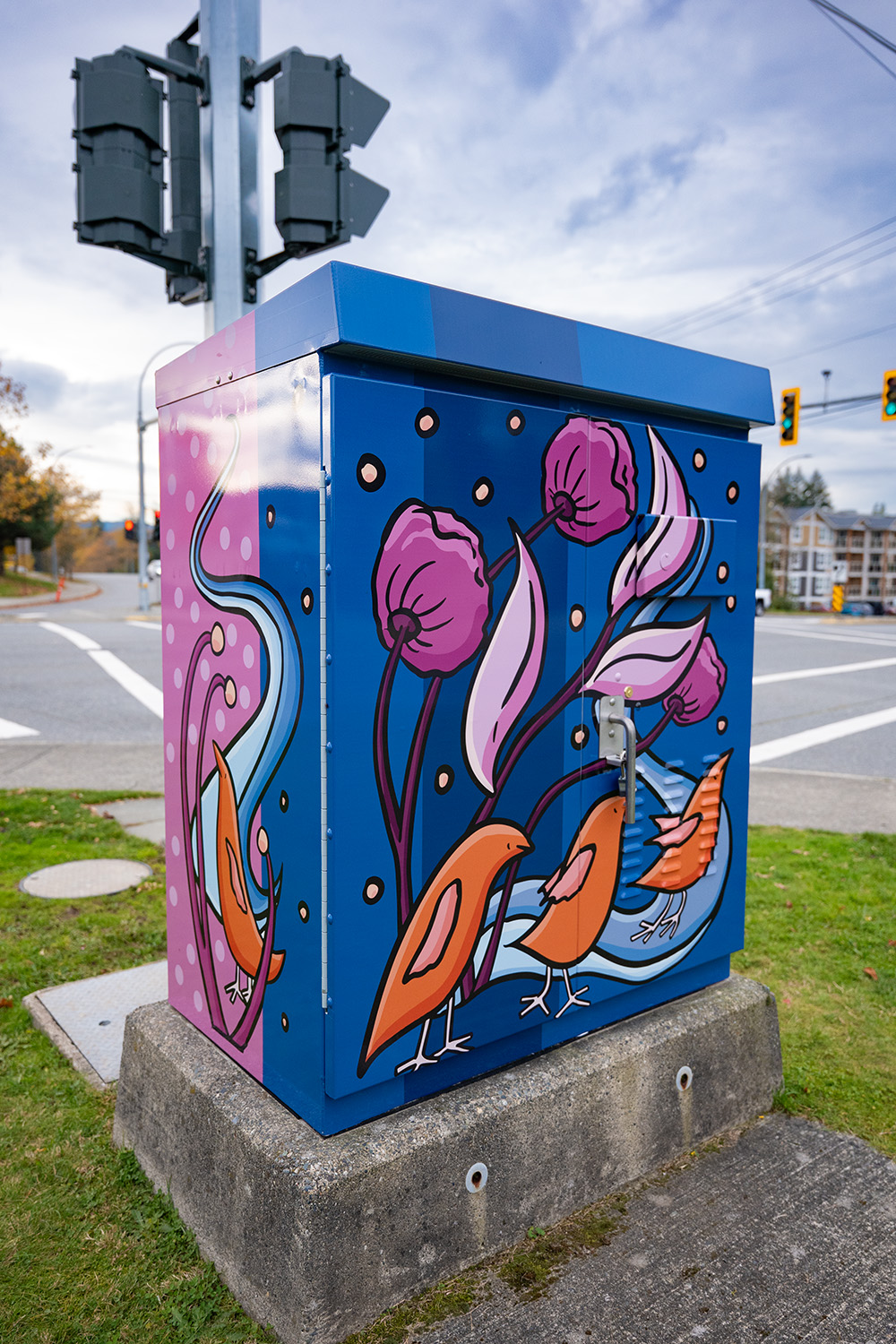 A blue and pink wrapped traffic control cabinet depicts artist flowers and birds at the intersection of Oliver Road and Uplands Drive