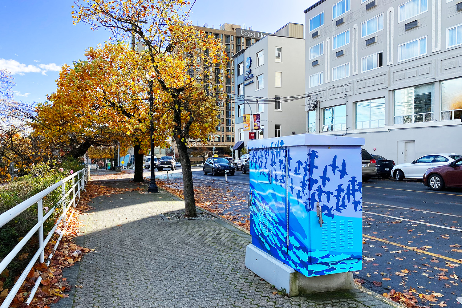 A wrapped traffic cabinet depicting birds and fish stands along the Front Street corridor in downtown Nanaimo.