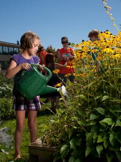 communitygarden_web communitygarden_web